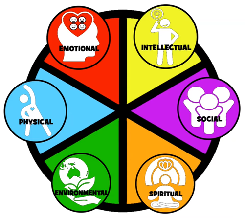 Six-segment colour wheel of the dimensions of holistic health: emotional, intellectual, social, spiritual, environmental and physical